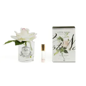 Natural Perfumed Single Pink Blush Rose with Clear Vase | Côte Noire